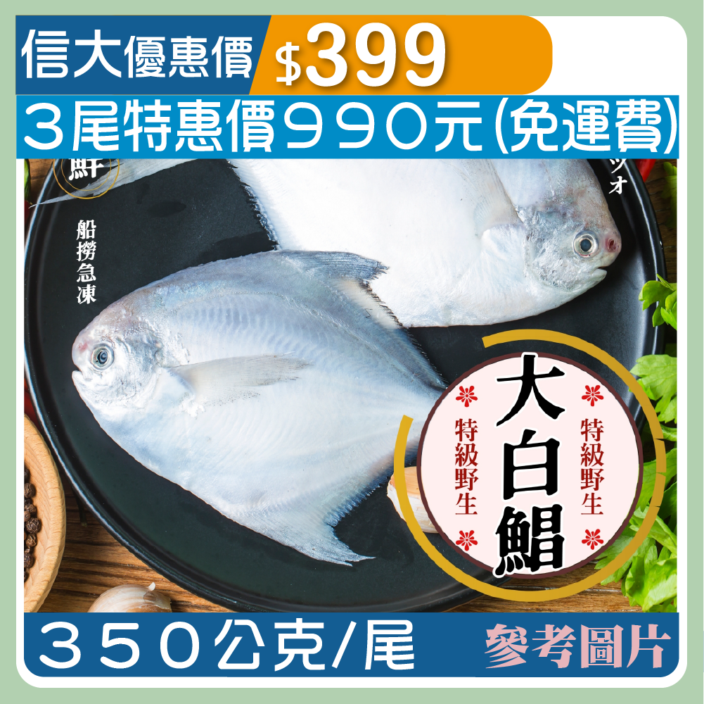 【上億嚴選】特級野生大白鯧350g/尾