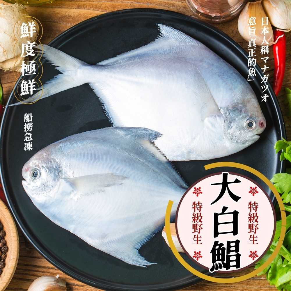 【上億嚴選】特級野生大白鯧350g/尾