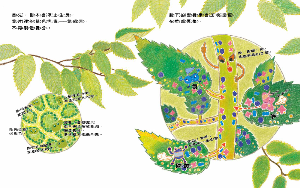 咦？樹木裡藏著什麼祕密？（環境教育／科普知識）