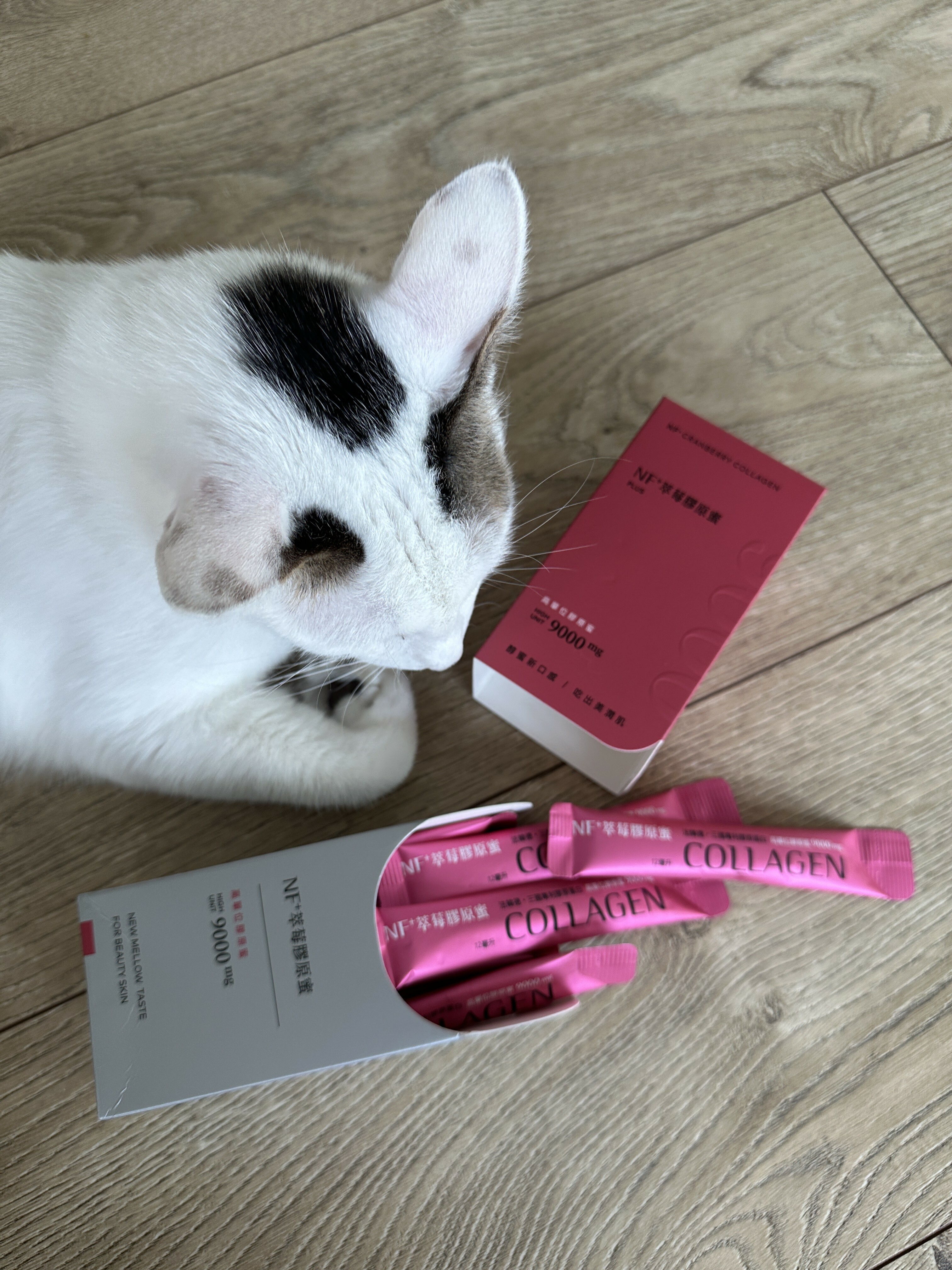 美肌萃 璇璇LYNN 重訓健身KOL 膠原蛋白推薦