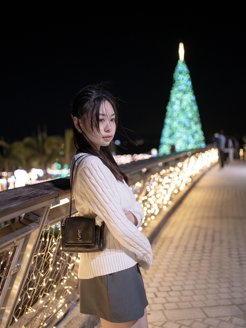 SAINT LAURENT YSL Nolita 小羊皮 迷你 手袋