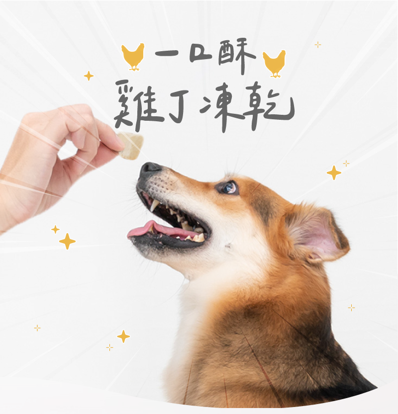 卡尼純肉零食 一口酥雞丁凍乾