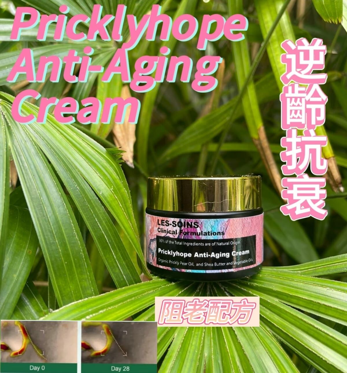 （阻老配方）新配方升級版Y16 純淨有機Les soins 仙人掌籽油萬能救命面霜50ml