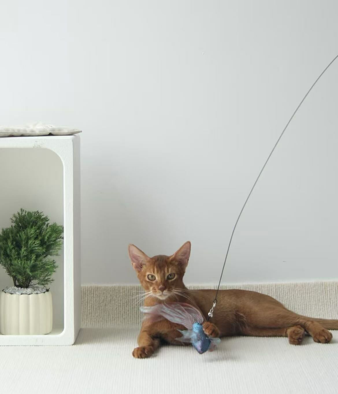 Félicette手工逗貓棒(含木棒)