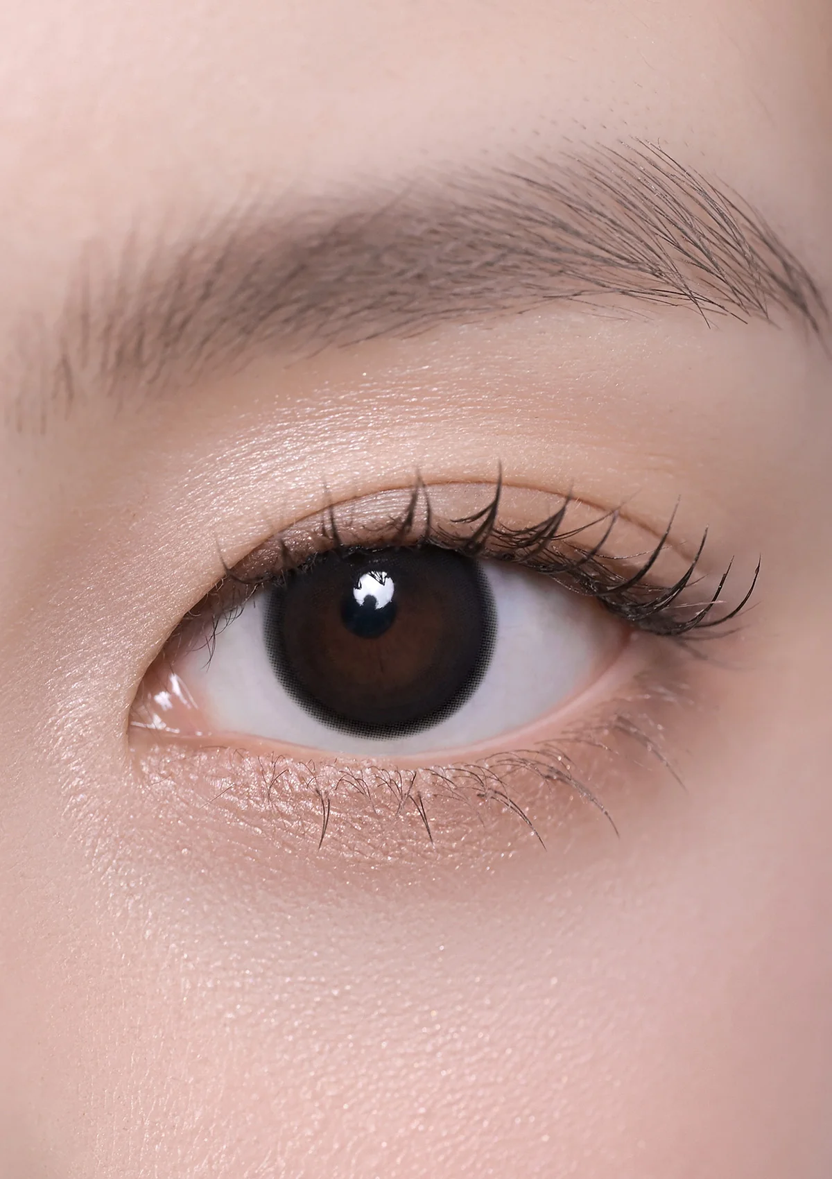 [日拋] CHUU LENS 1 Day Aery Rose Lucid Black 琉璃黑 彩妝隱形眼鏡｜每盒10片