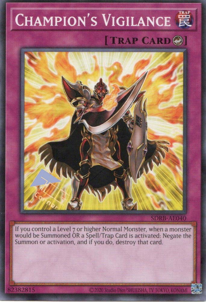 SDRB-AE040 Champion's Vigilance