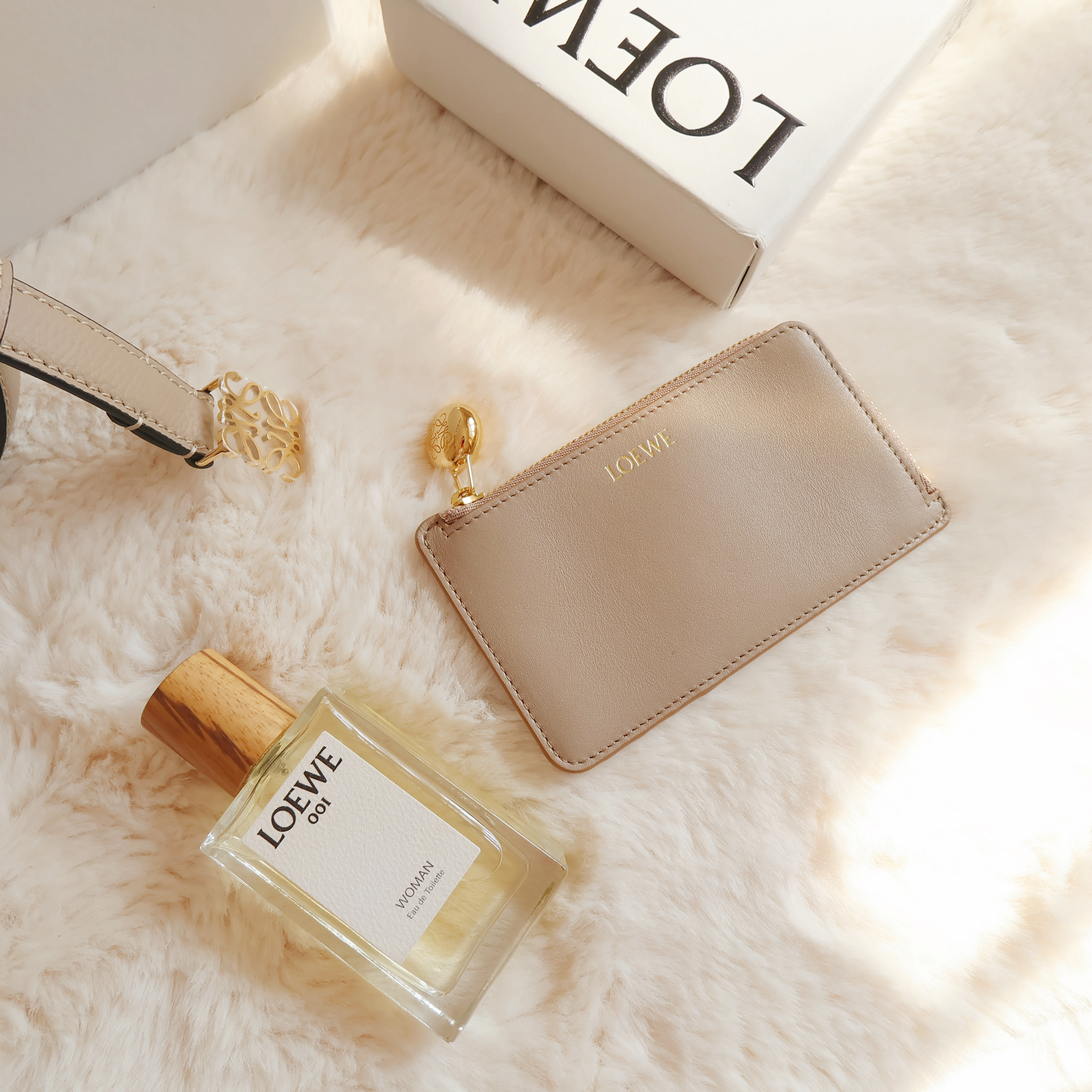 Loewe Pebble Coin Card coin cardholder in shiny nappa c Loewe Pebble Coin Card coin cardholder in shiny nappa c
