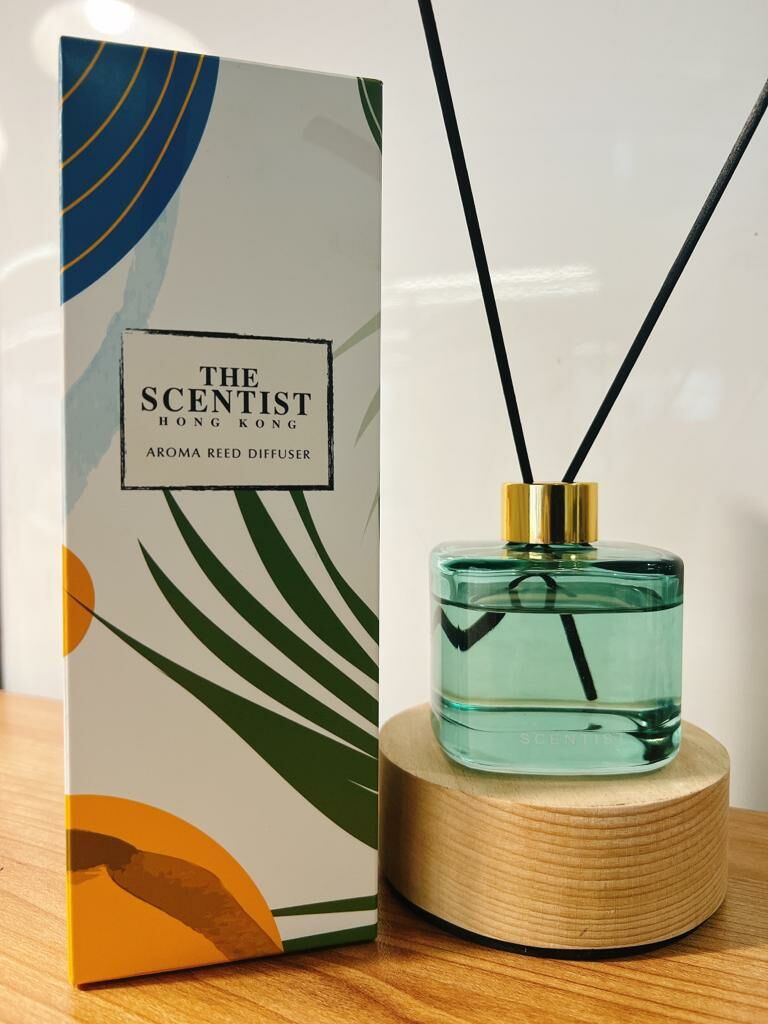 🟢 Spring Diffuser