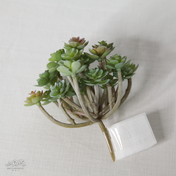 人造多肉 24叉小仙人顆  3色