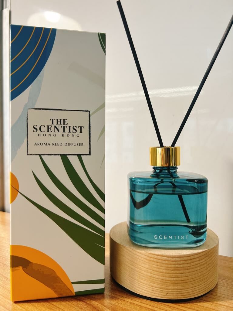 🔵 Winter Diffuser