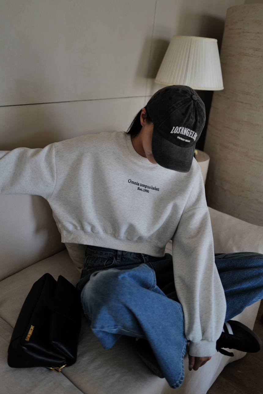 刺繡小字母短款衛衣*4色