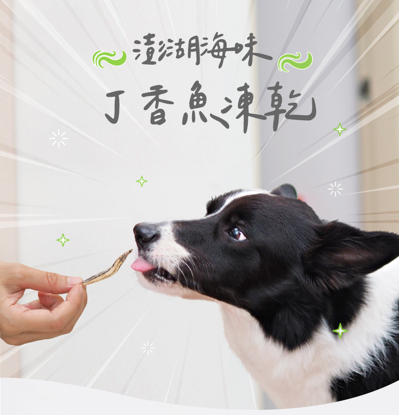 卡尼純肉零食 澎湖海味丁香魚凍乾