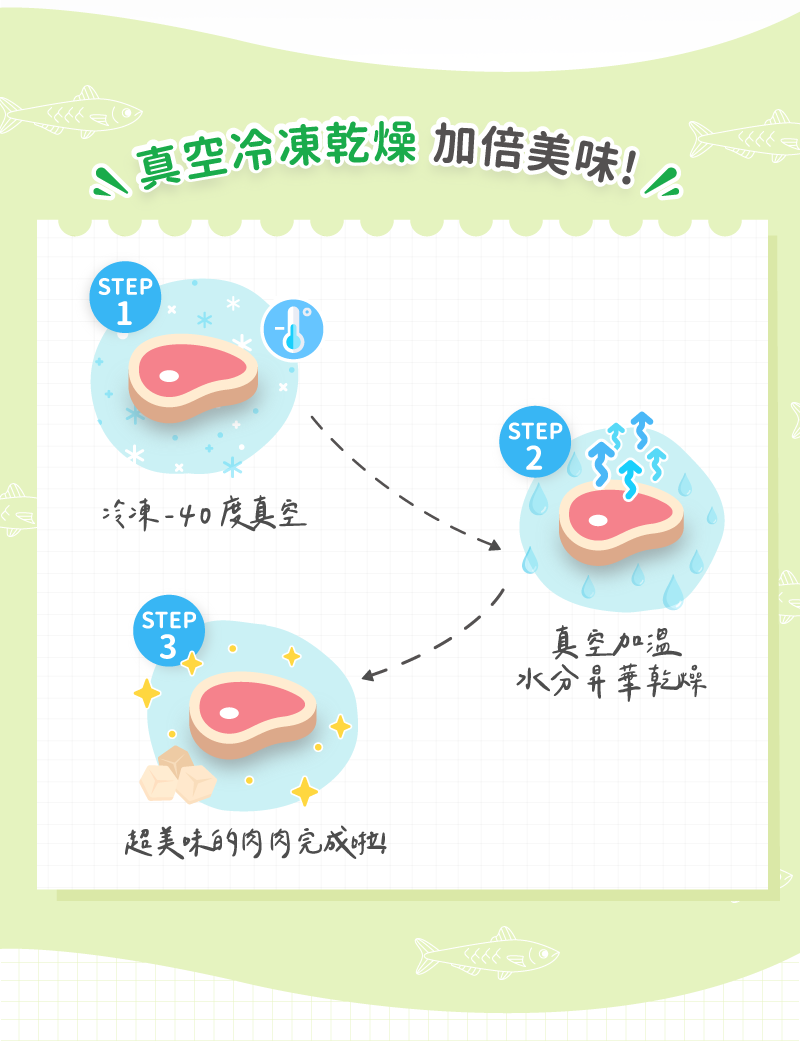 真空冷凍乾燥製程說明