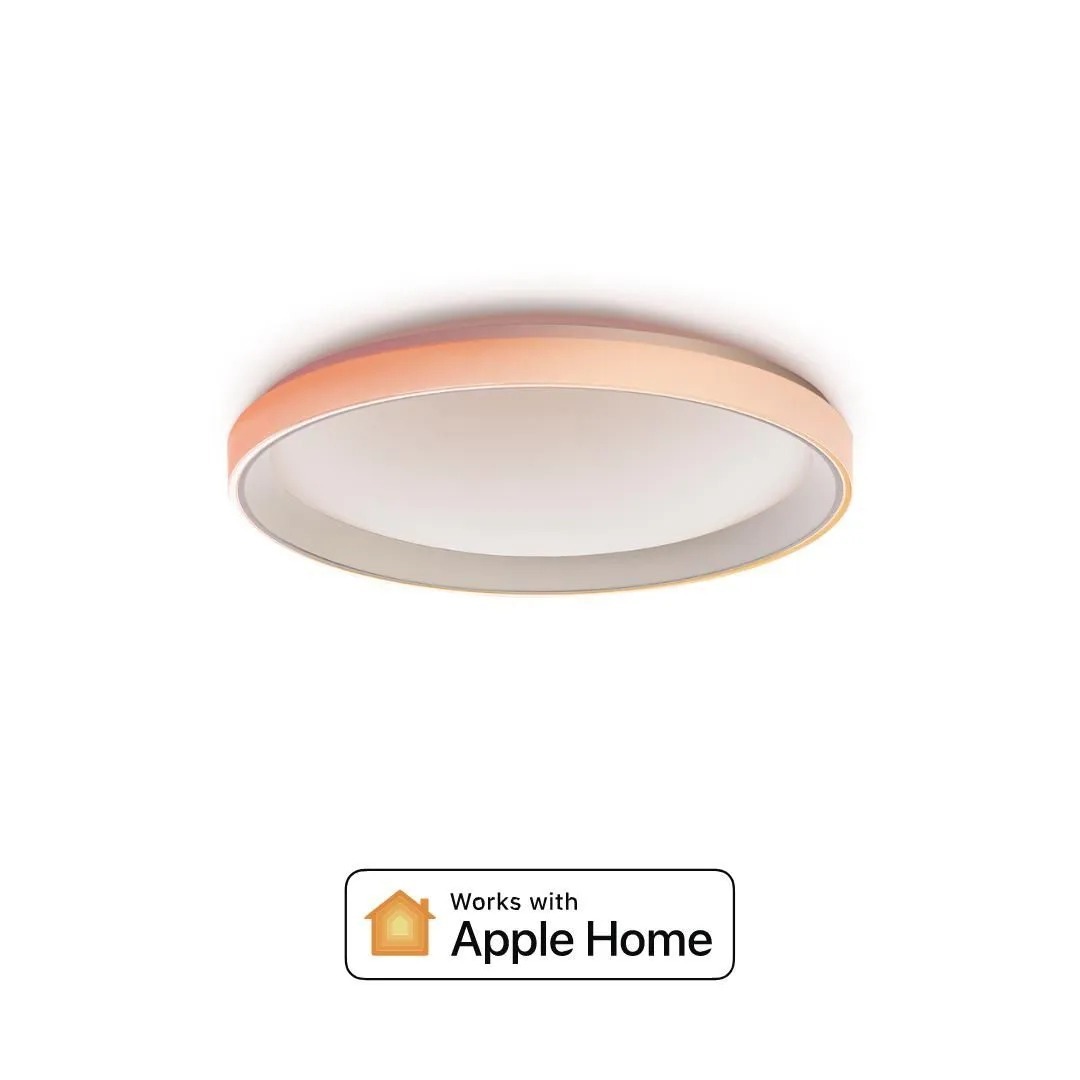 Aqara Ceiling Light T1 32W RGB 智能黃白光幻彩吸頂燈【香港行貨】