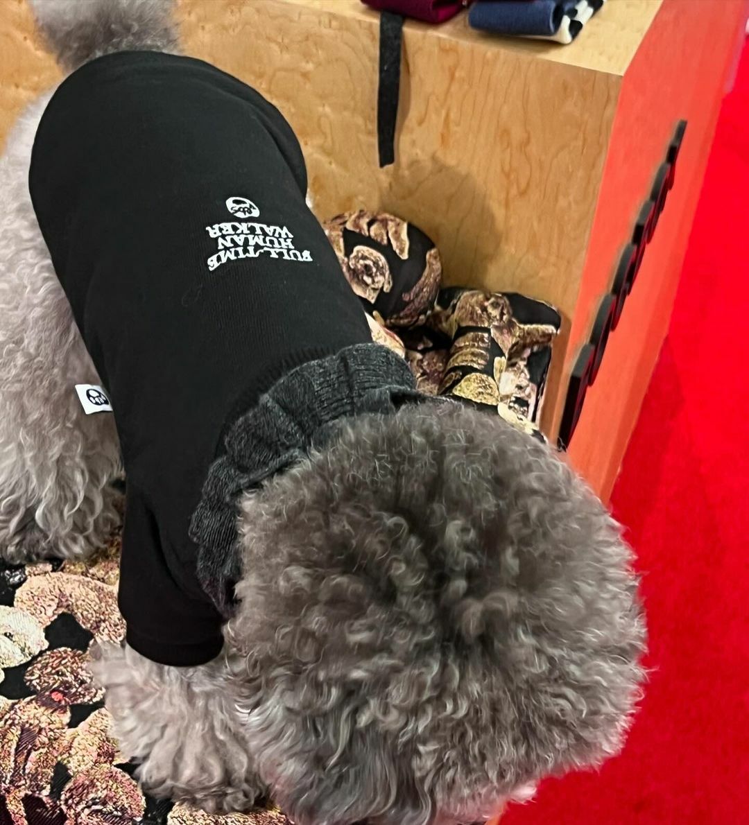 pebs  | 一起散步親子衣-寵物款 黑色