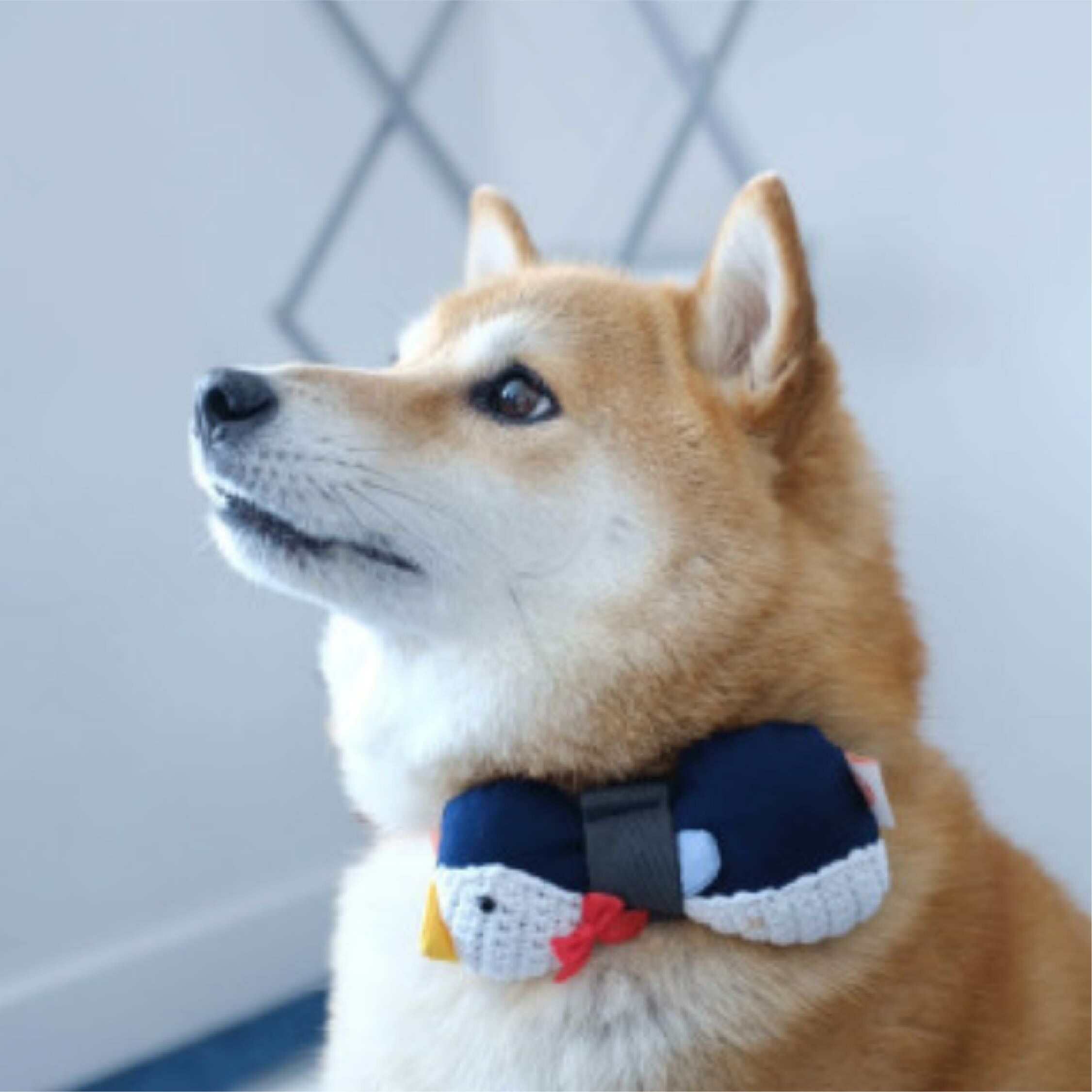 HIKOINU - 韓國胸背裝飾 - 企鵝