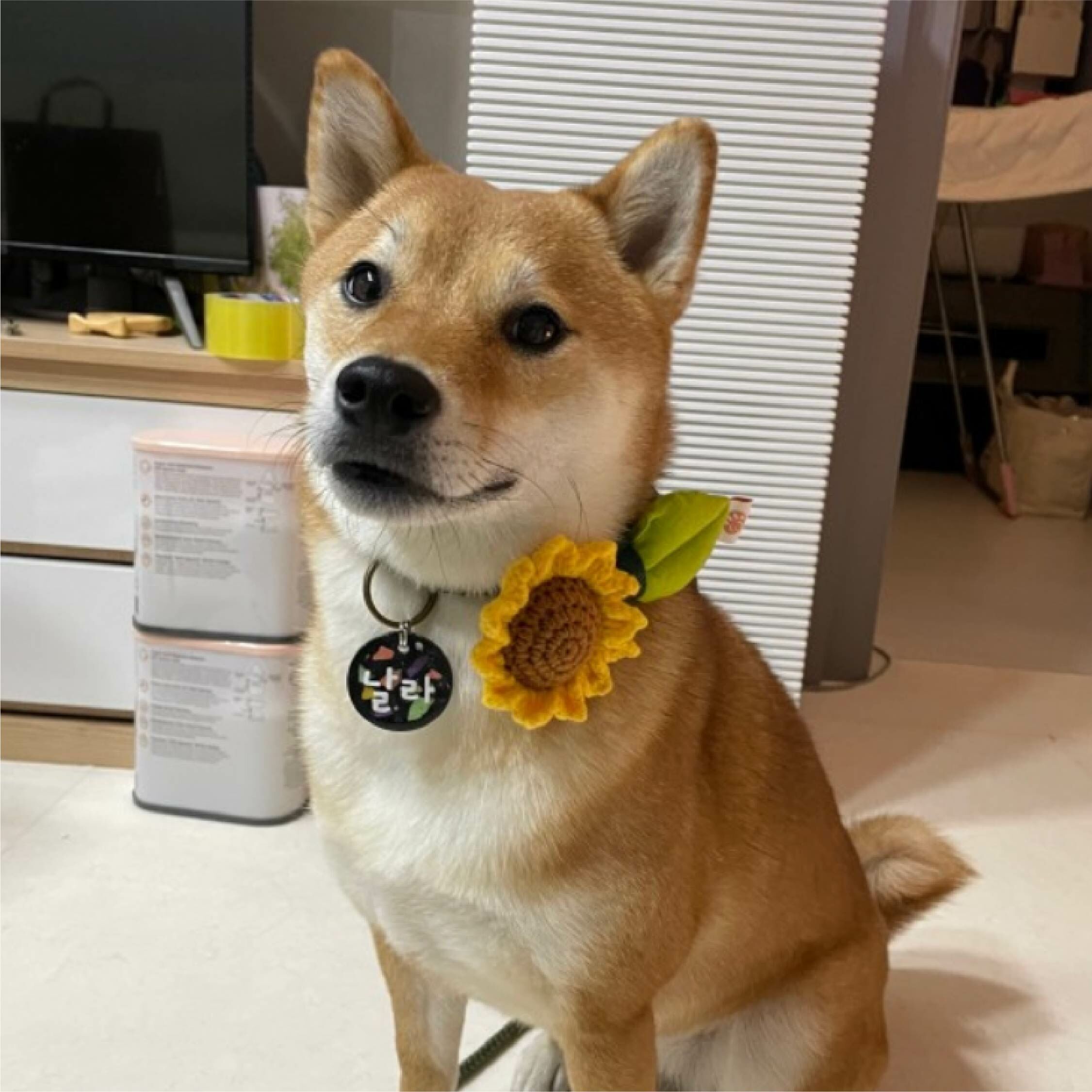 HIKOINU - 韓國胸背裝飾 - 向日葵