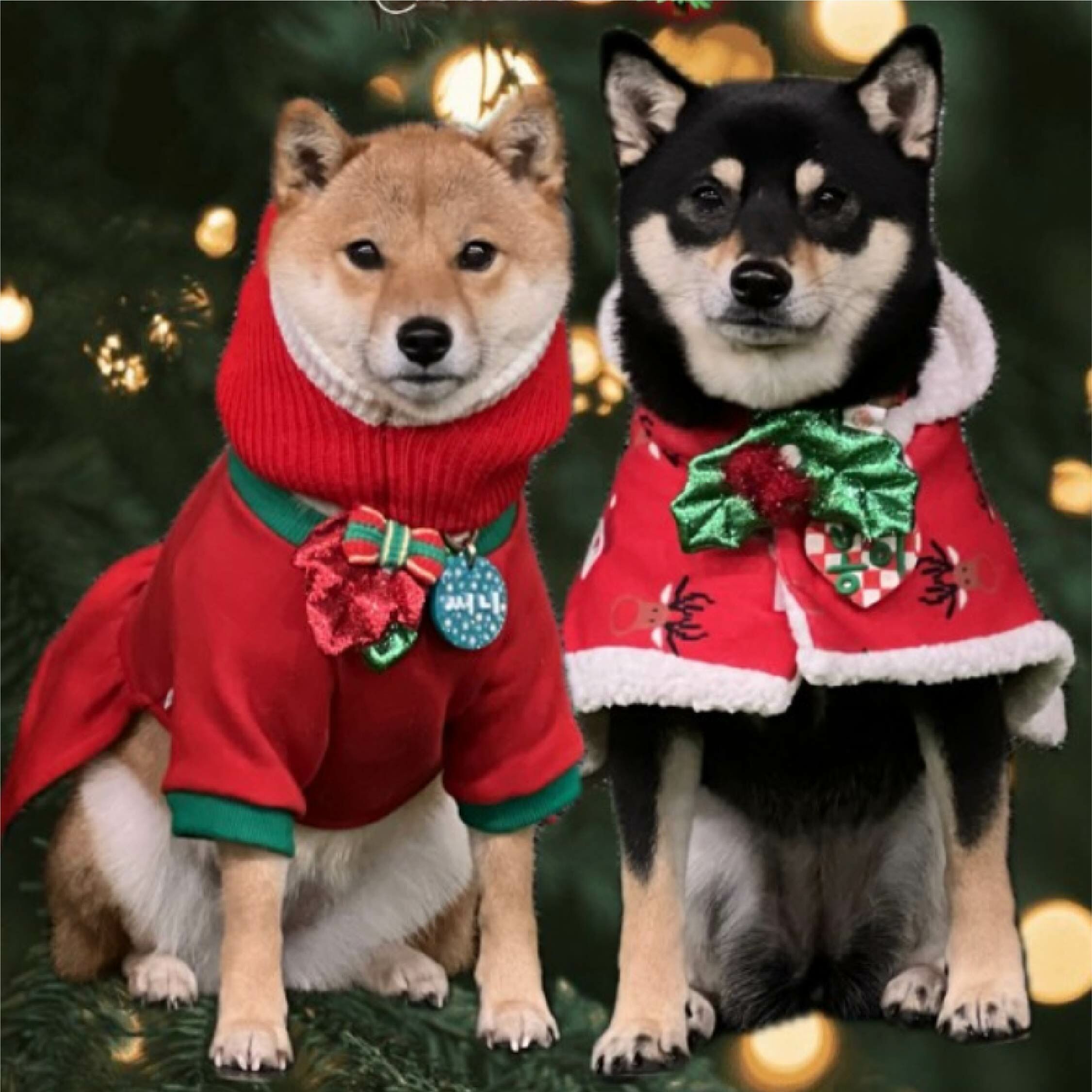 HIKOINU - 韓國胸背裝飾 -亮綠葉雙配紅球