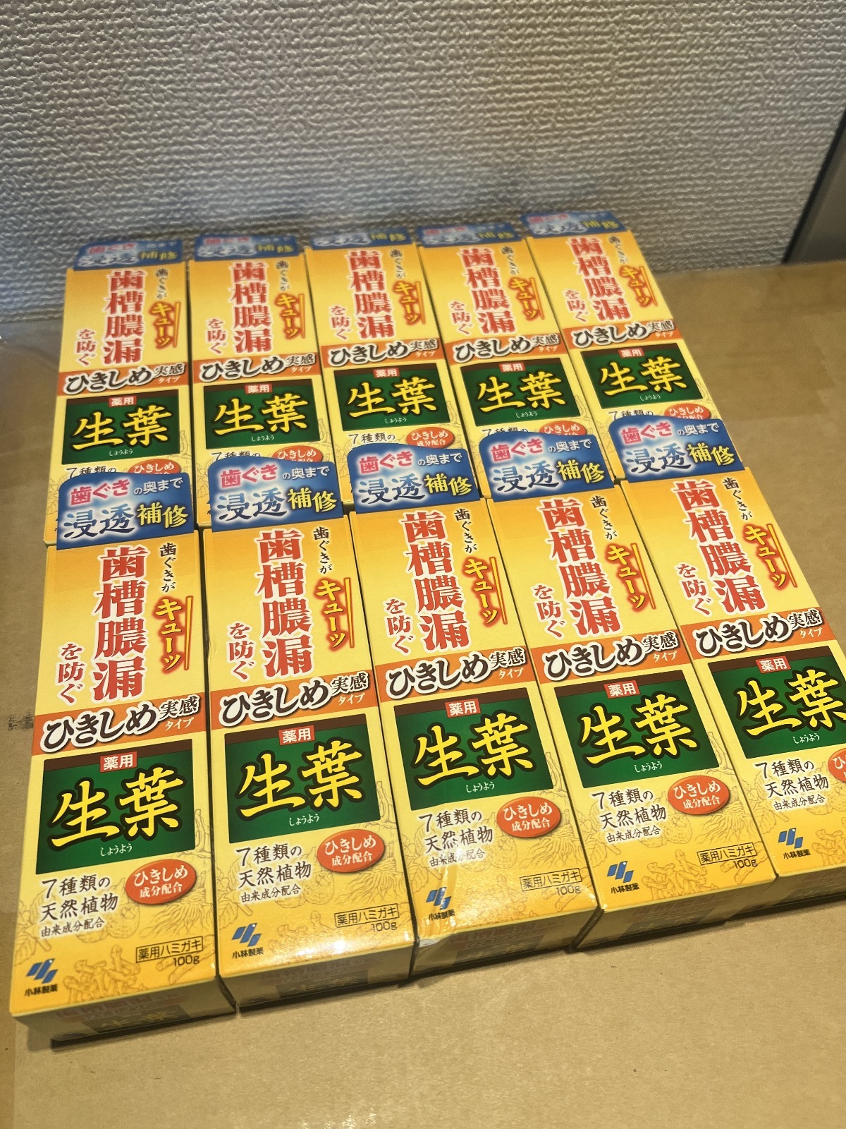 小林製藥 - 生葉牙齦緊緻牙膏100 G