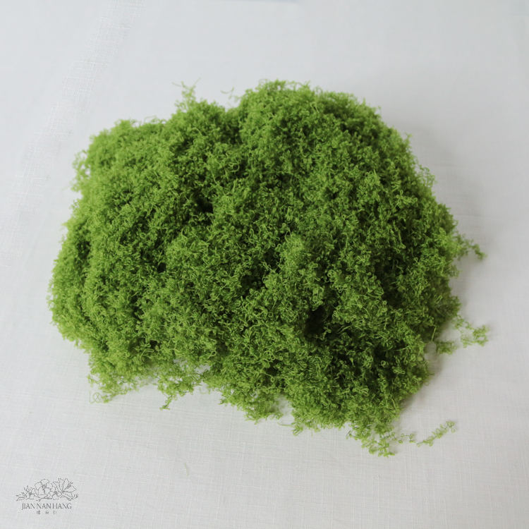 絲狀苔蘚 2色