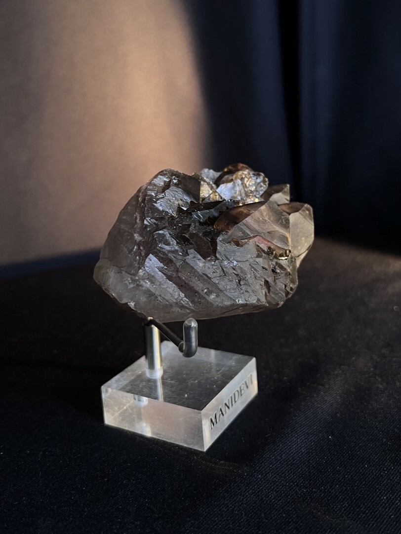 骨幹黑超七 Black Gold Super 7