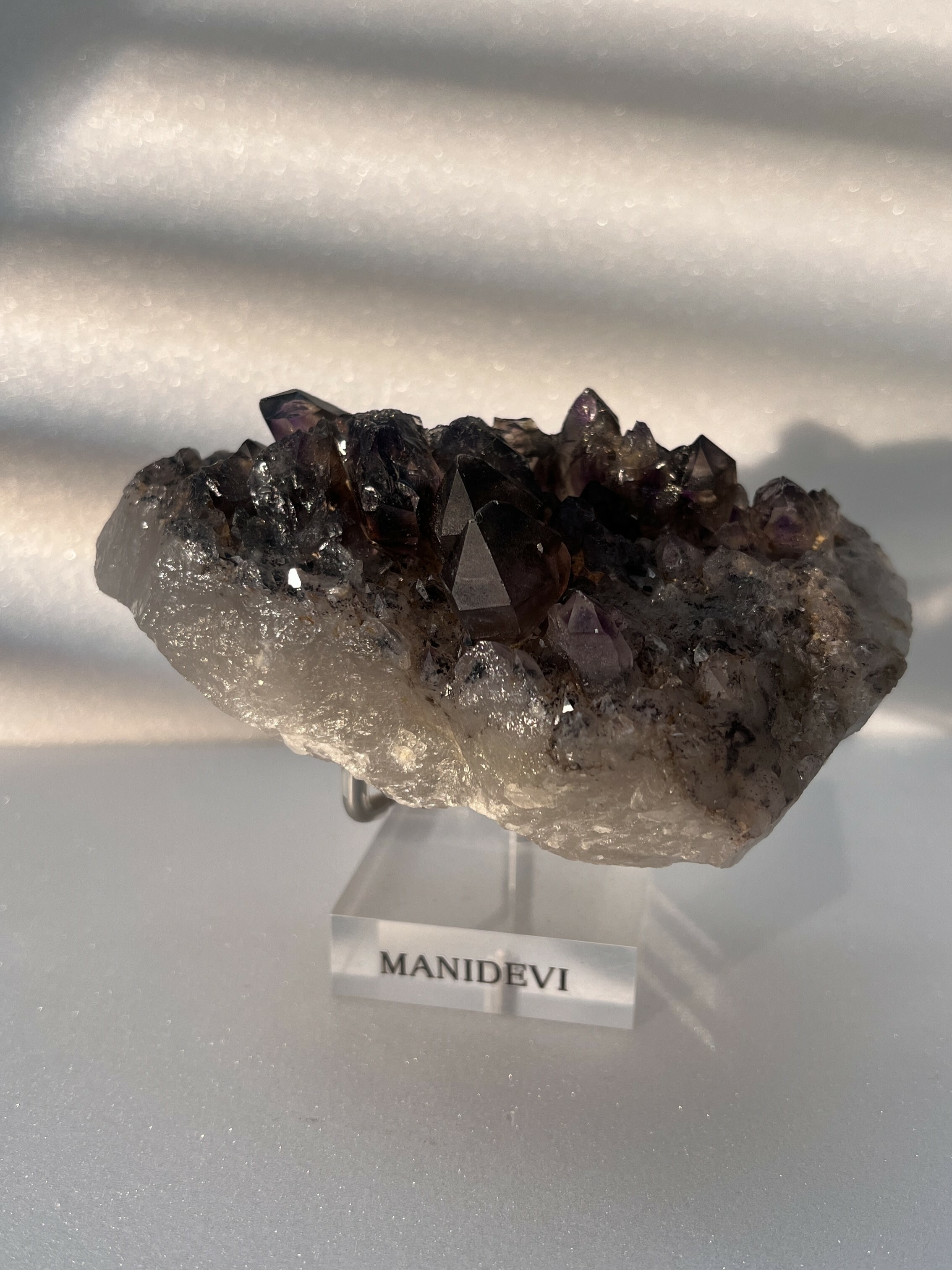 骨幹黑超七 Black Gold Super 7