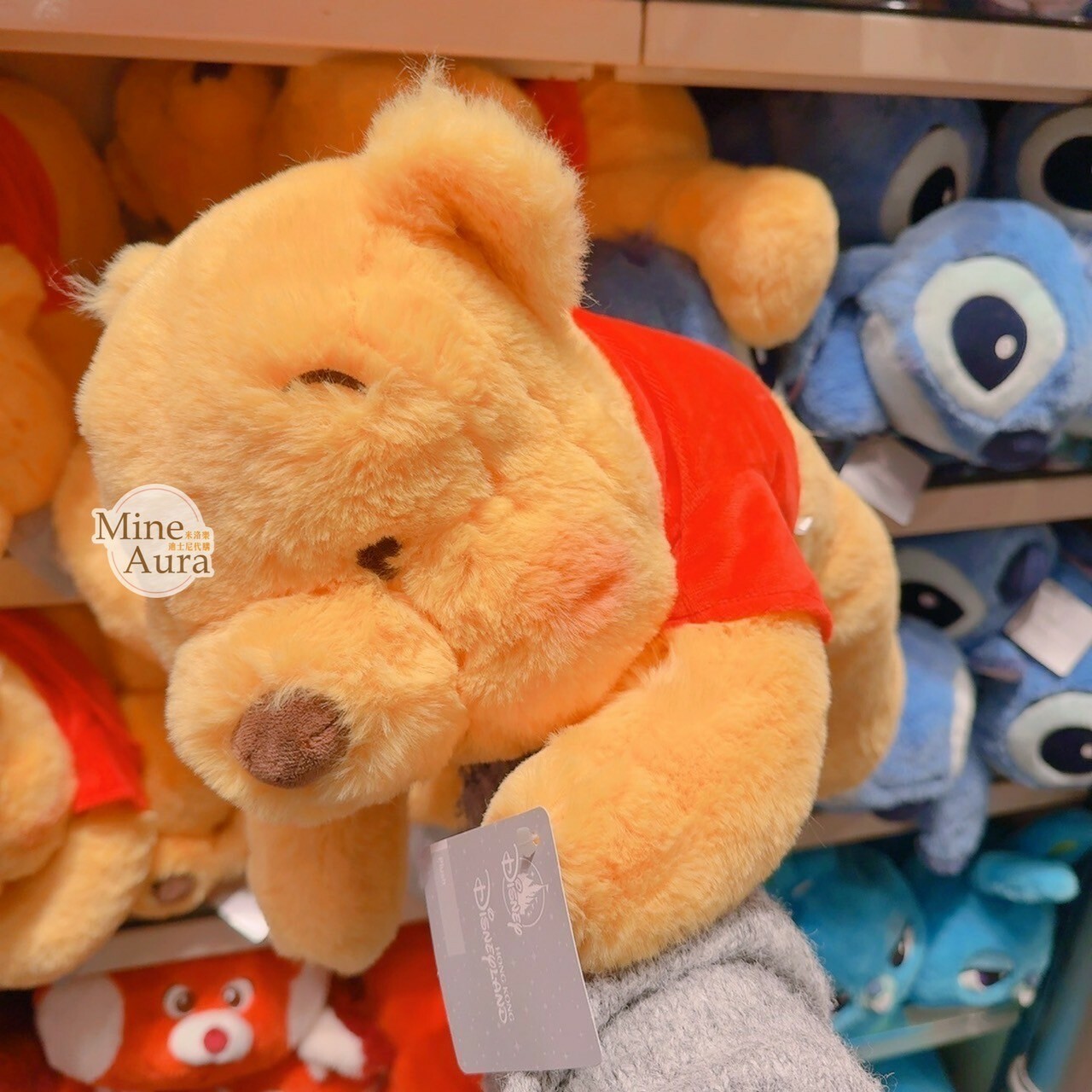 小熊維尼 Winnie the Pooh 趴趴 趴姿 娃娃 玩偶 -香港迪士尼樂園