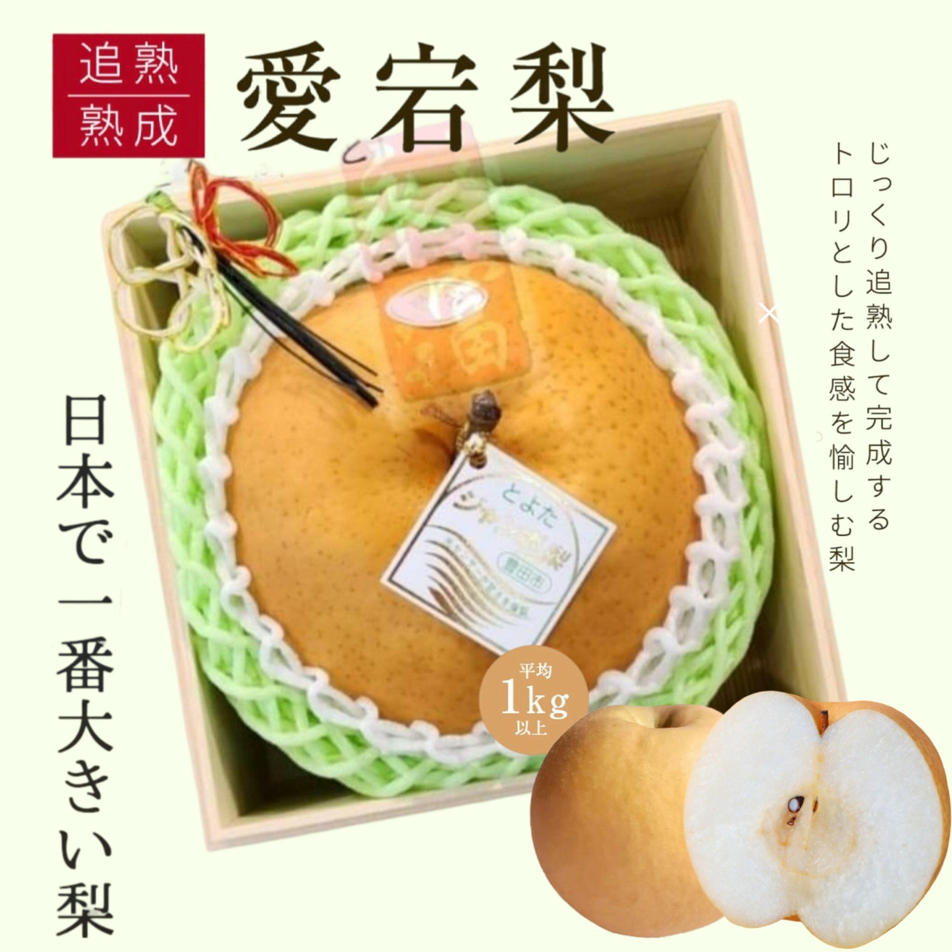 日本愛知縣愛宕梨