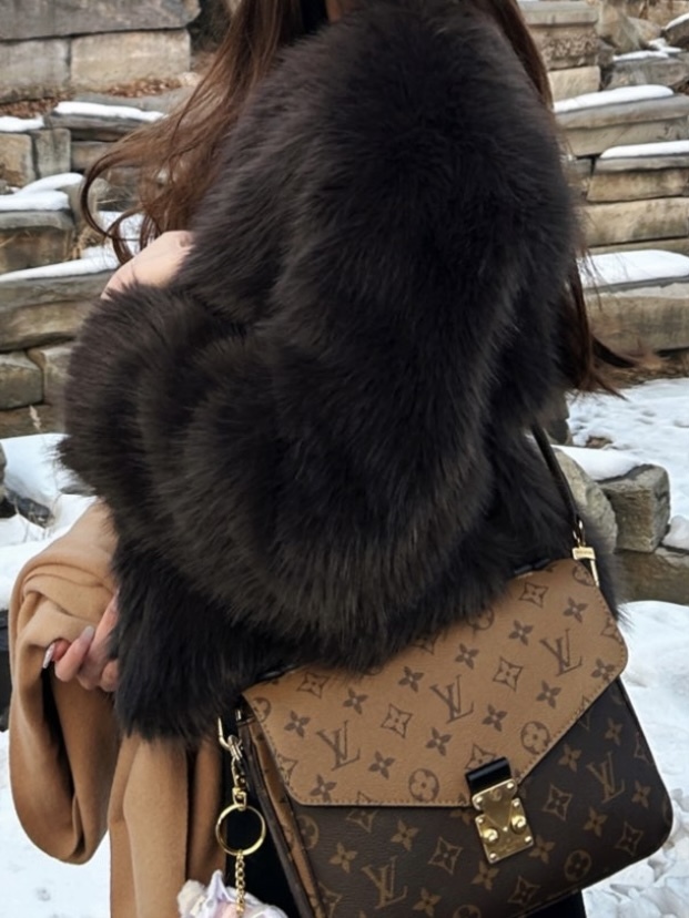 LOUIS VUITTON LV Pochette Métis Monogram Reverse 帆布手袋