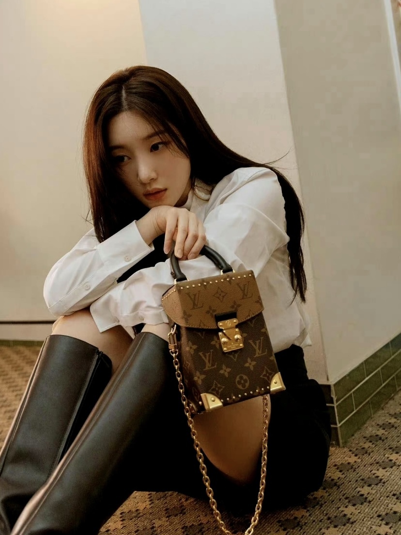 LOUIS VUITTON LV Camera Box Monogram 帆布手袋