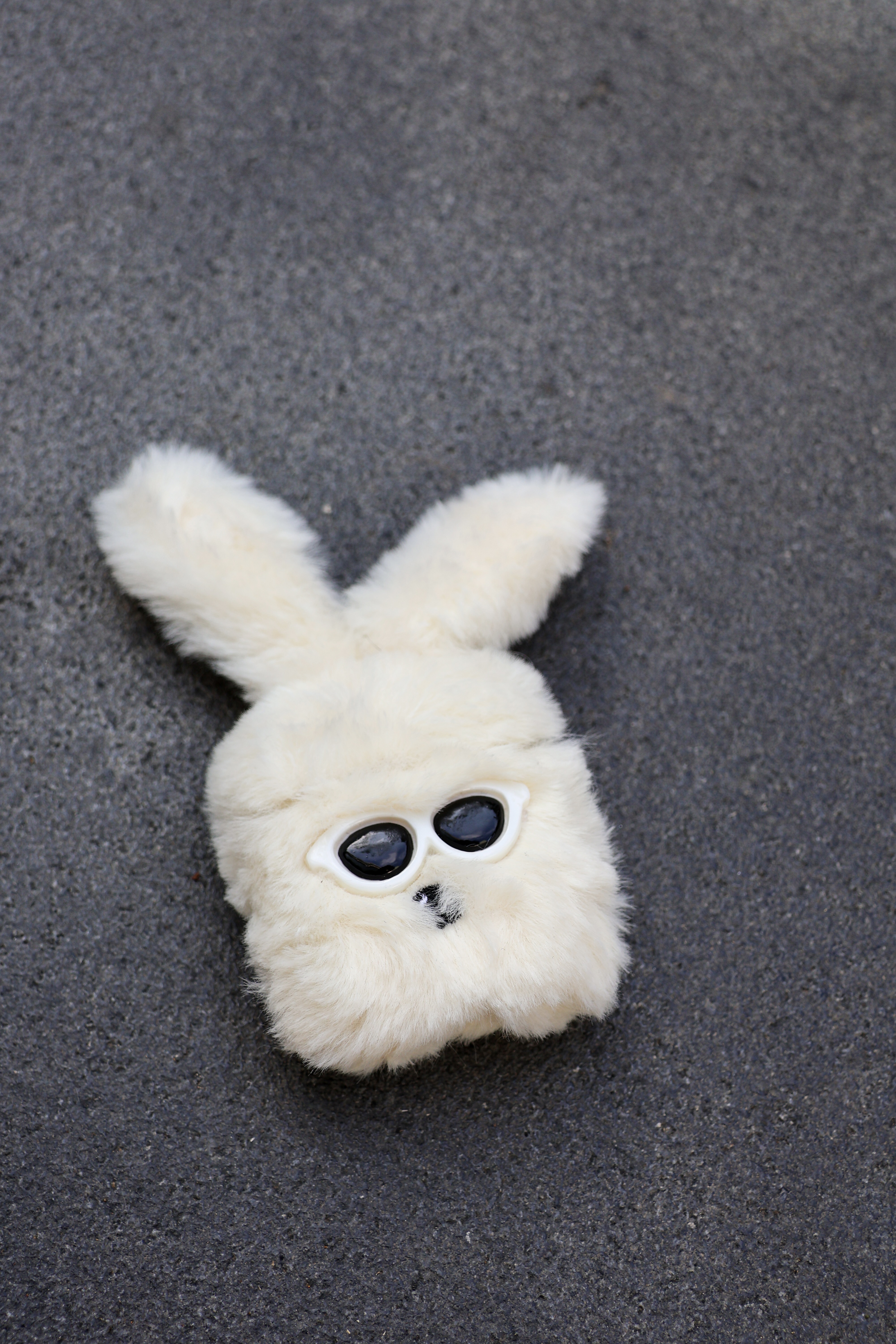 毛絨墨鏡小狗🐶