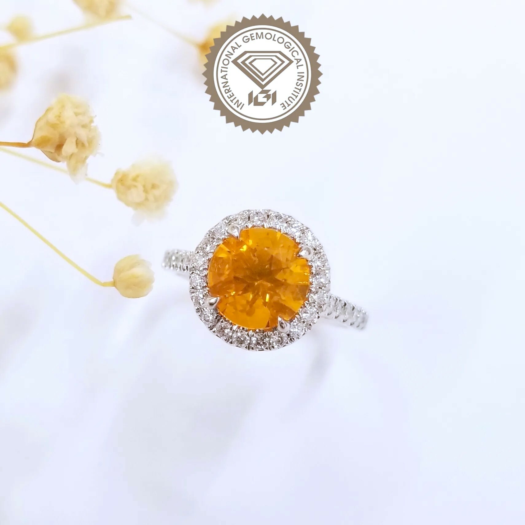 18K White Gold 1.36ct México Opal Ring