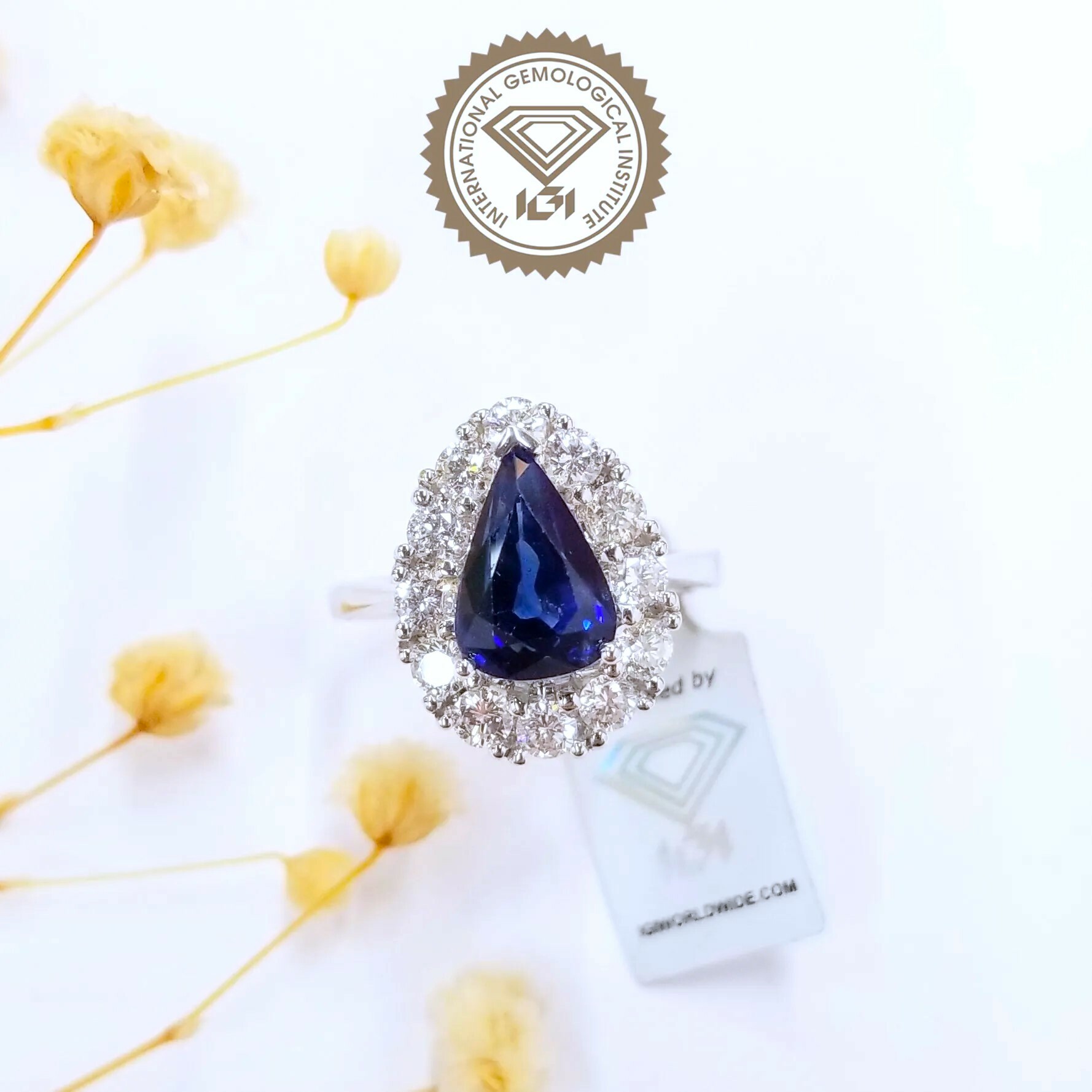 18K White Gold 3.08ct Sapphire and Diamond Ring