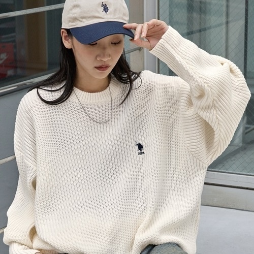 U.S. POLO ASSN. 日本限定 毛衣 針織 刺繡 Logo 落肩 長袖 6色