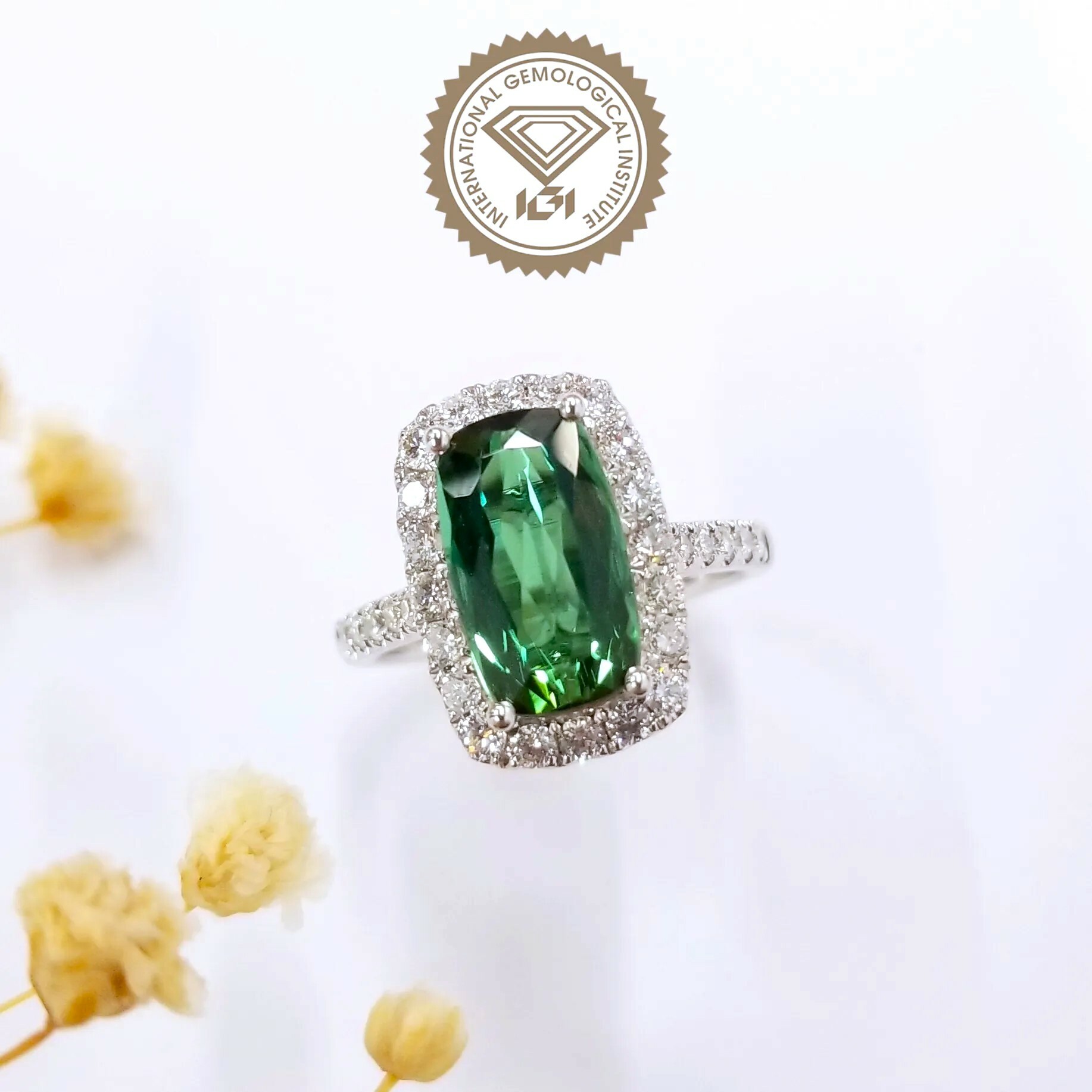 18K White Gold 2.73ct Tourmaline and Diamond Ring