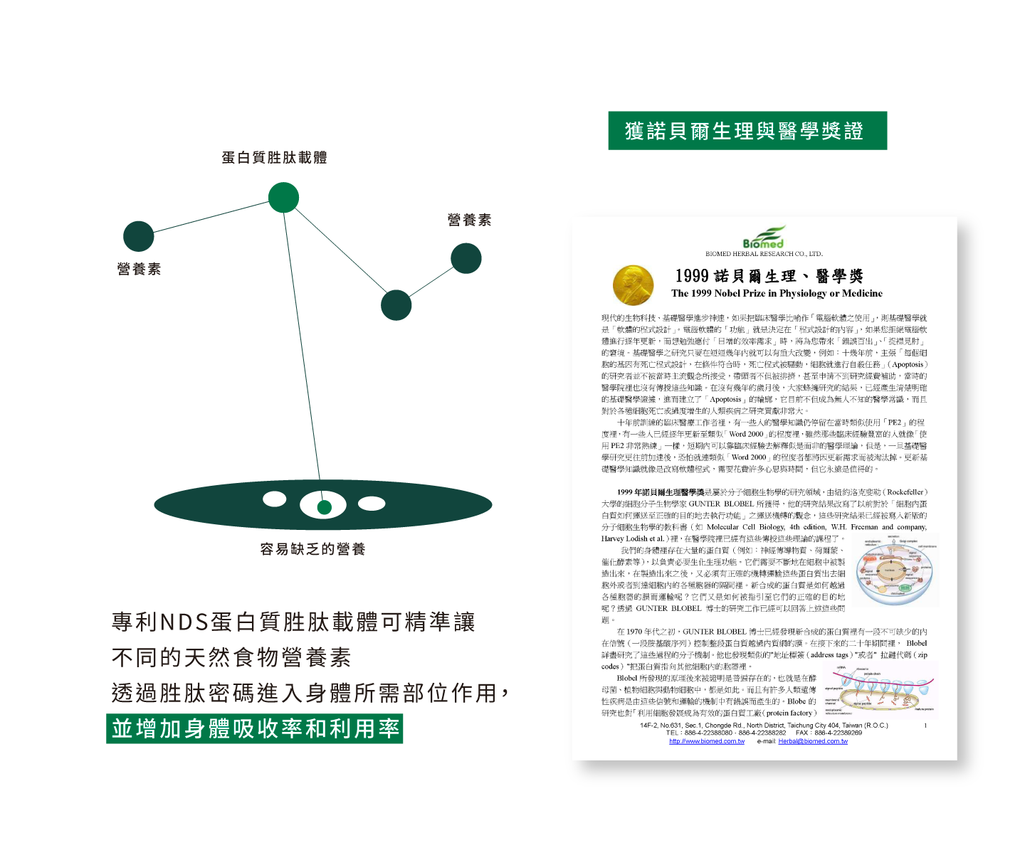 專利nds蛋白質胜肽載體可精準讓不同的天然食物營養素透過胜肽密碼進入身體所需部位作用,並增加身體吸收率和利用率