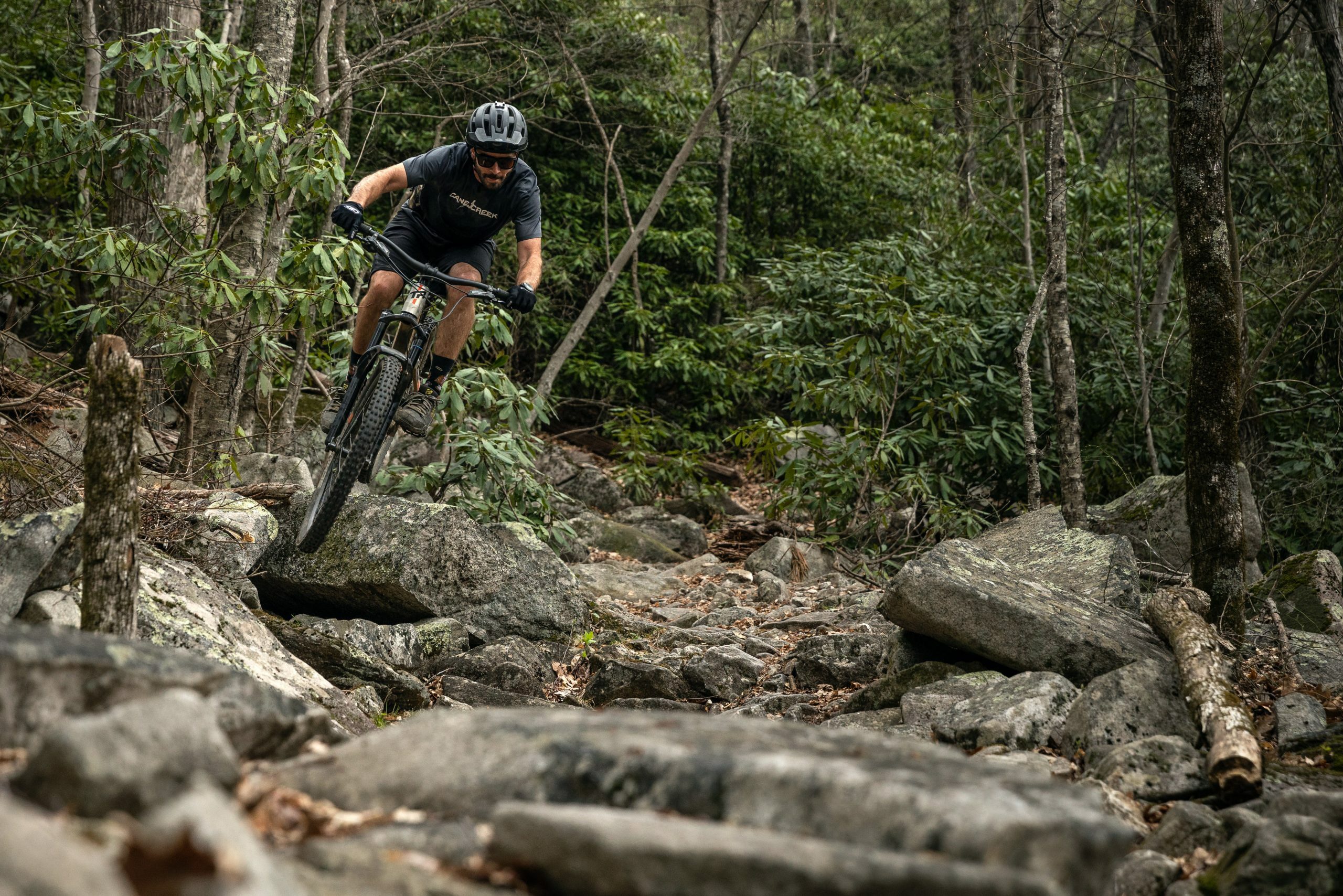 Cane Creek Tigon Trunnion Rear Shock