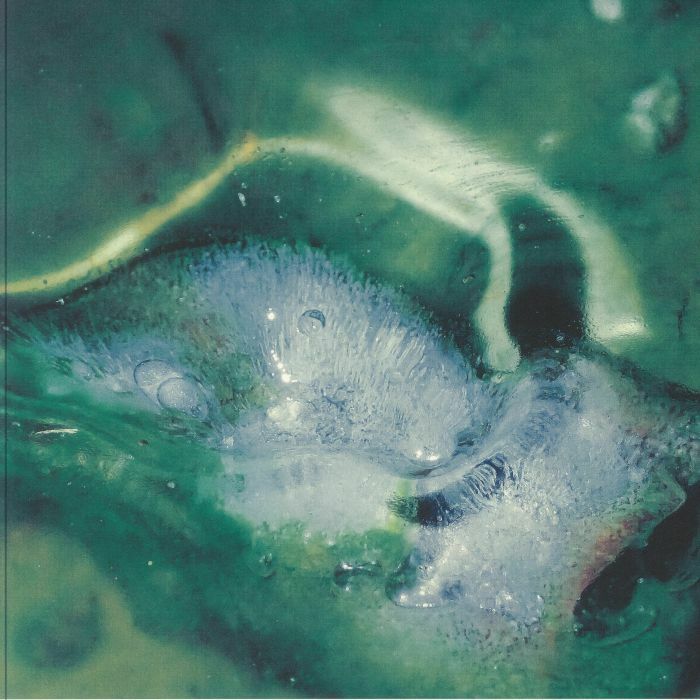 Tristan ARP《A Pool A Portal》（LP）