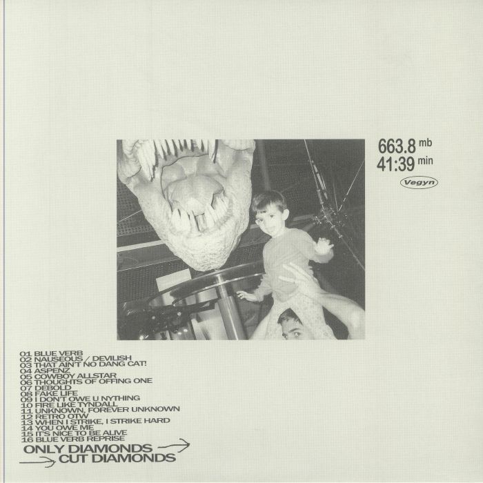 Vegyn《Only Diamonds Cut Diamonds (5 Year Anniversary Repress)》（2LP）