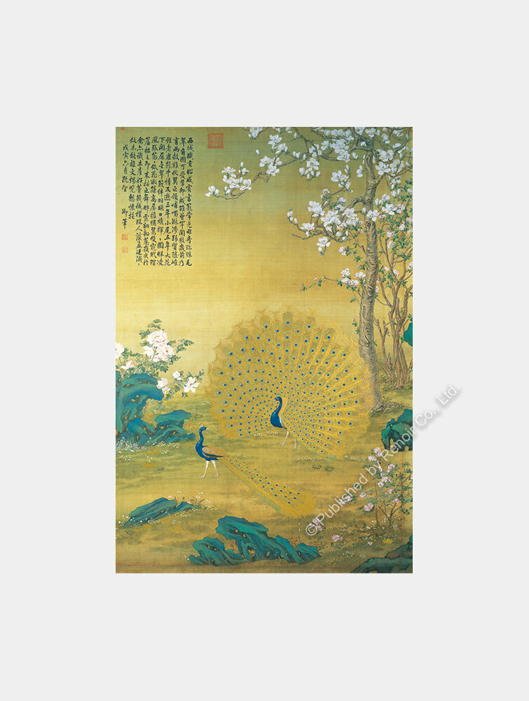 孔雀開屏1008片拼圖｜故宮典藏藝術拼圖｜雷諾瓦