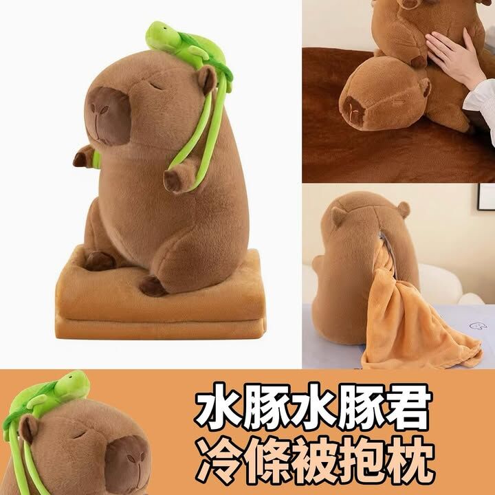 水豚冷氣毯抱枕