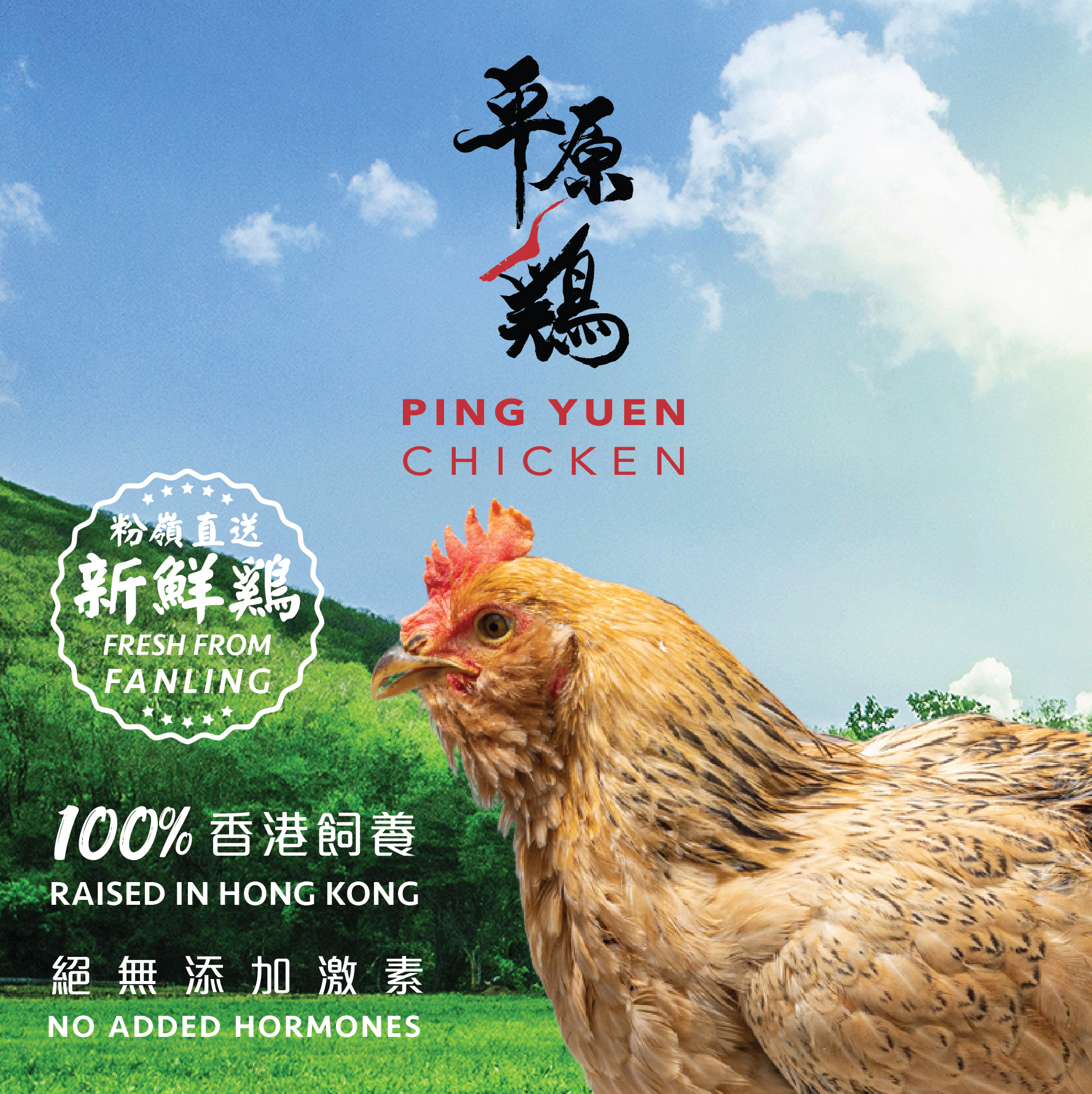 新鮮雞 - 粉嶺平原鷄 (門市自取/九龍區:星期五送貨)