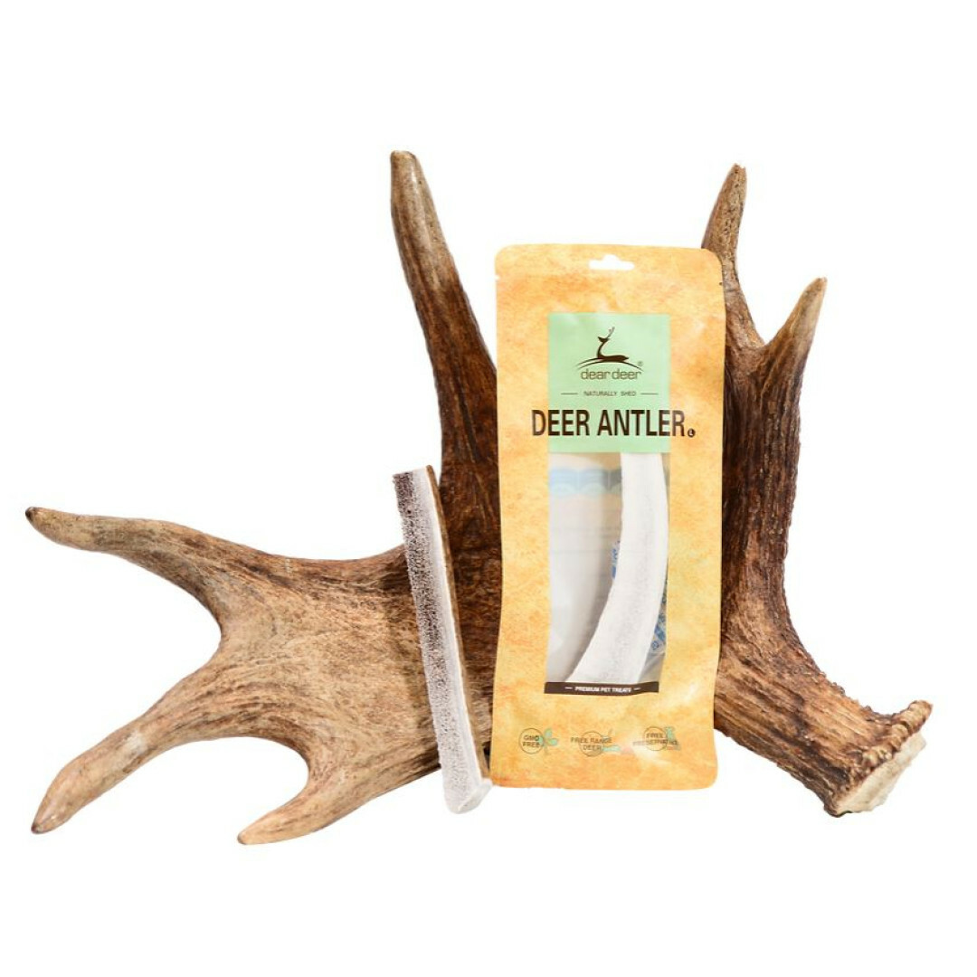 Dear Deer | 100% 天然潔齒鹿角 （S）
