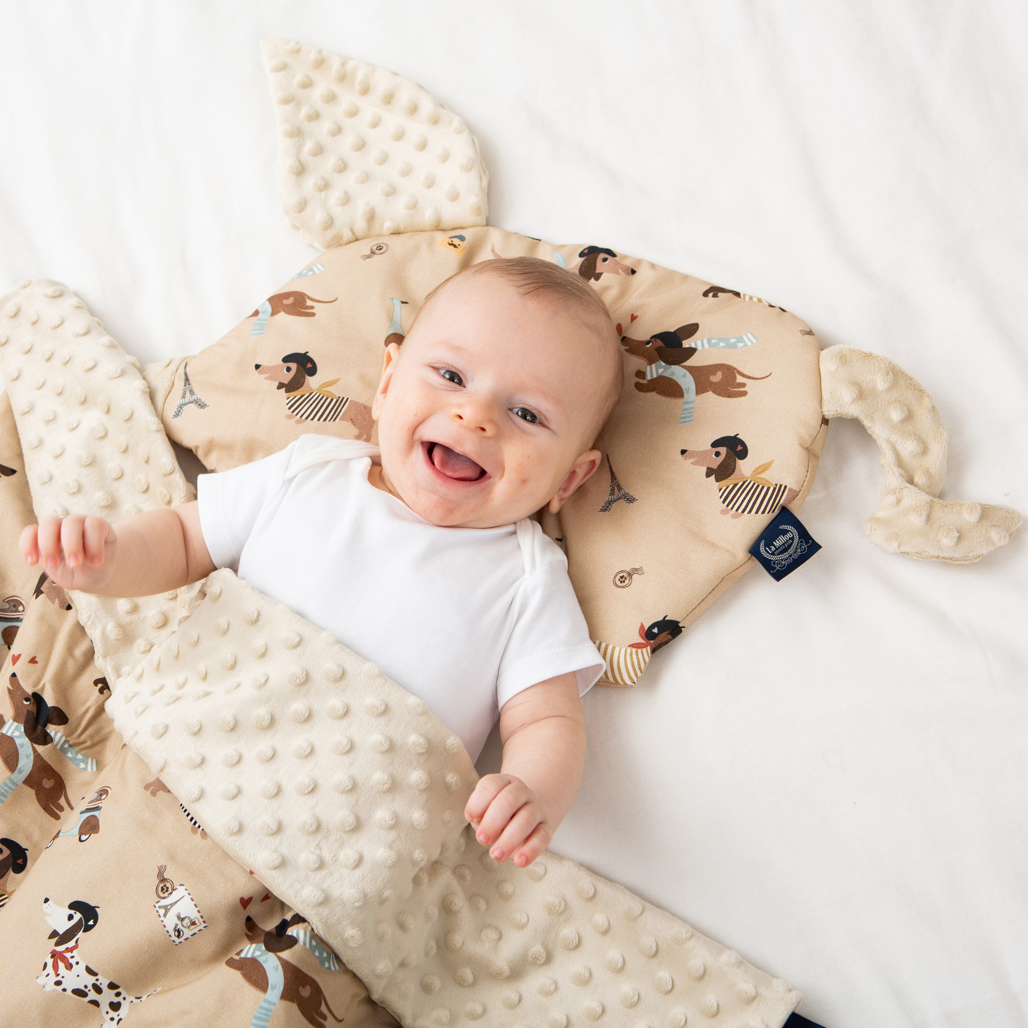 La Millou波蘭 豆豆小豬枕｜巴黎臘腸狗｜伊莉沙白