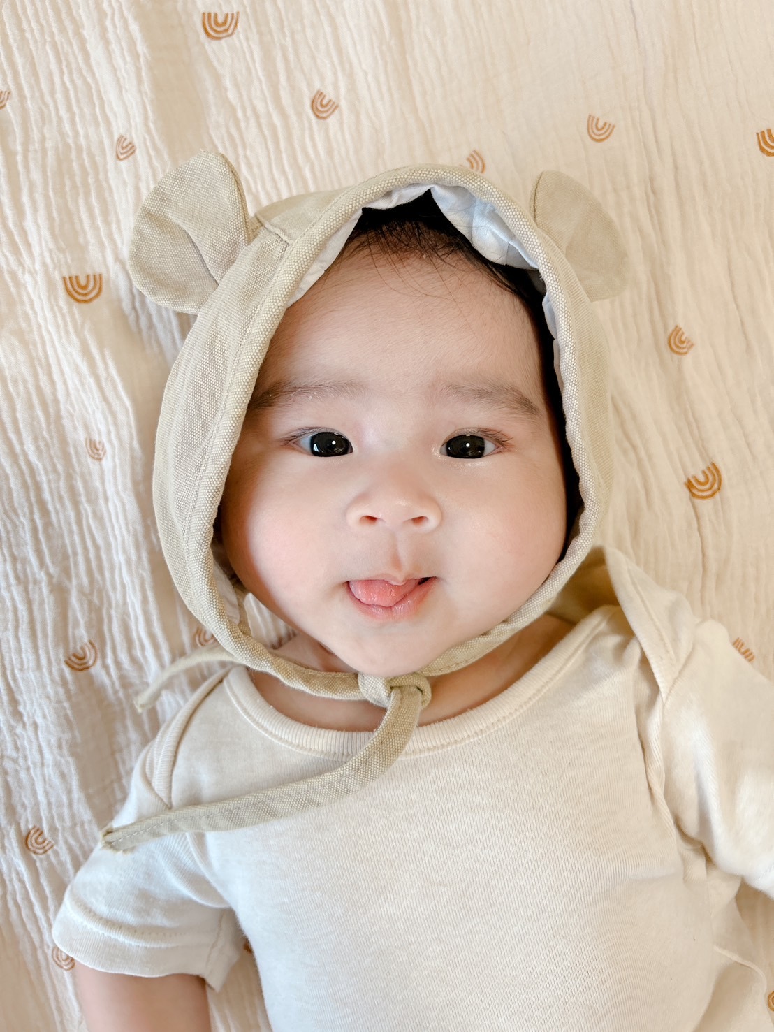 韓國質感選物 - 純棉防風熊熊帽