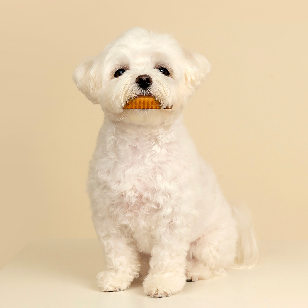 Honeycomb Chew • 蜂巢六角潔牙骨 ⛤ 水解雞肉 【S size】