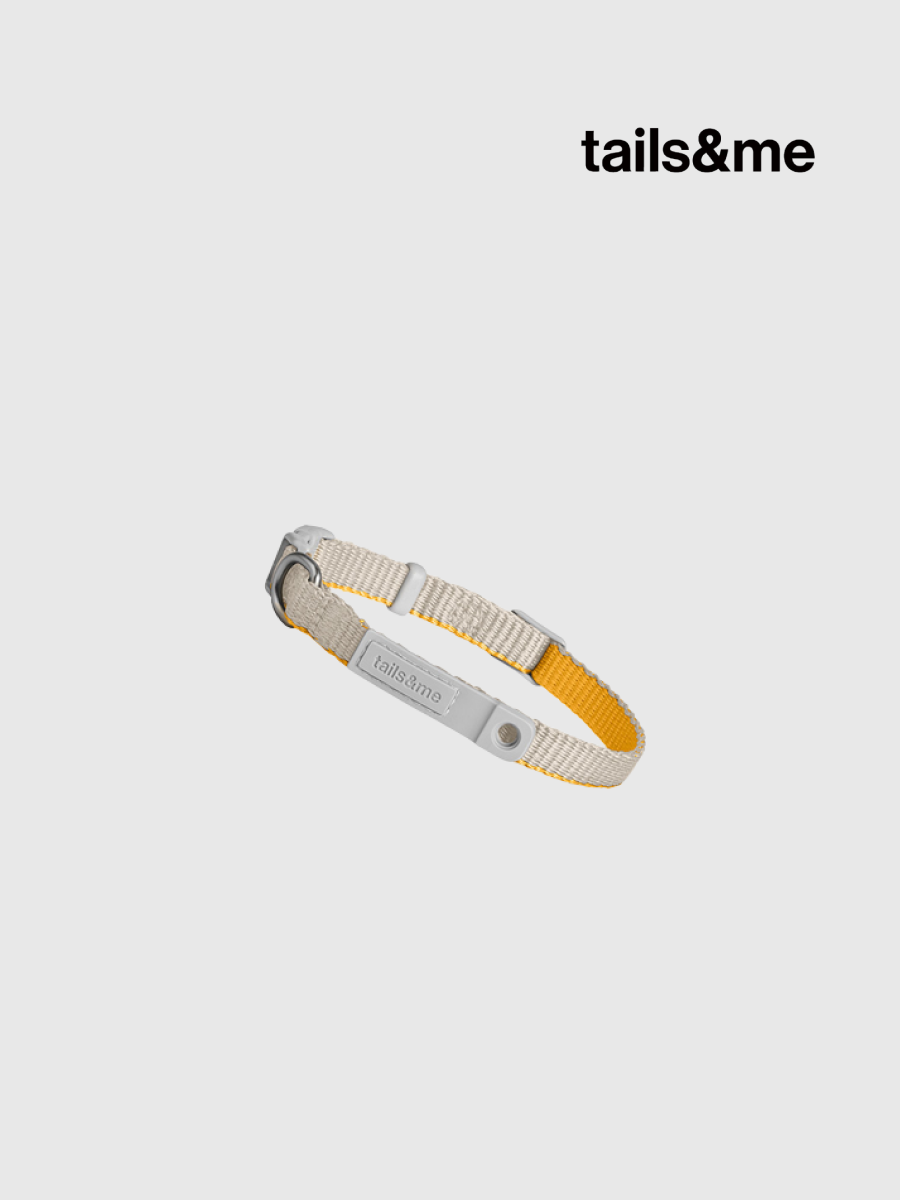 【tails&me 尾巴與我】新經典 貓安全項圈 | TailsCharm™適用｜亮灰杏黃 (雙色)