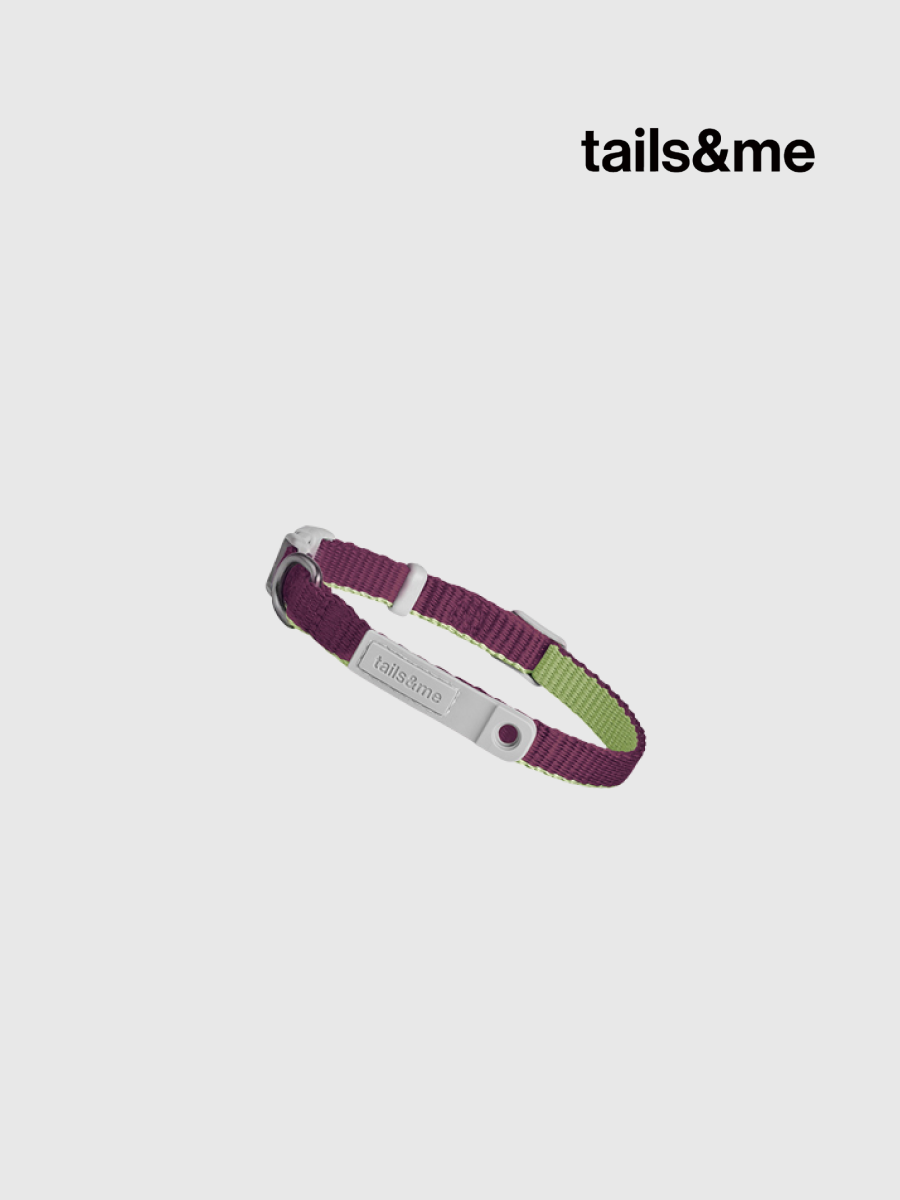 【tails&me 尾巴與我】新經典 貓安全項圈 | TailsCharm™適用｜萄紫茶綠 (雙色)