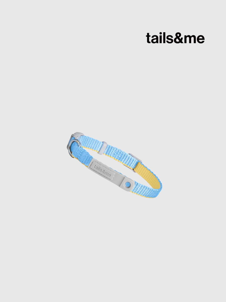 【tails&me 尾巴與我】新經典 貓安全項圈 | TailsCharm™適用｜水藍亮黃 (雙色)