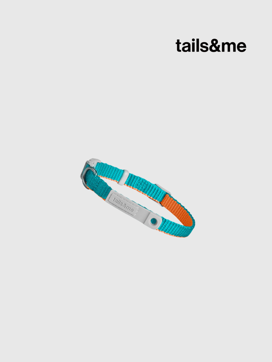 【tails&me 尾巴與我】新經典 貓安全項圈 | TailsCharm™適用｜碧綠淺棕 (雙色)